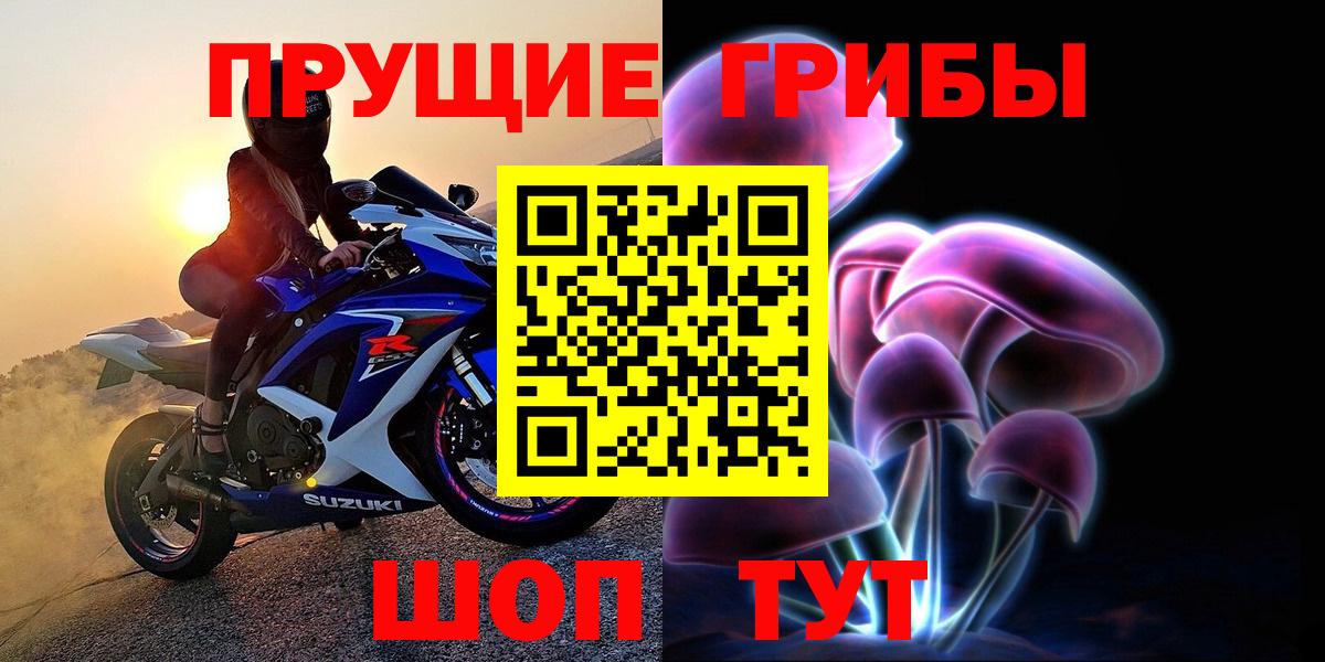 Галлюциногенные грибы Psilocybe Нурлат